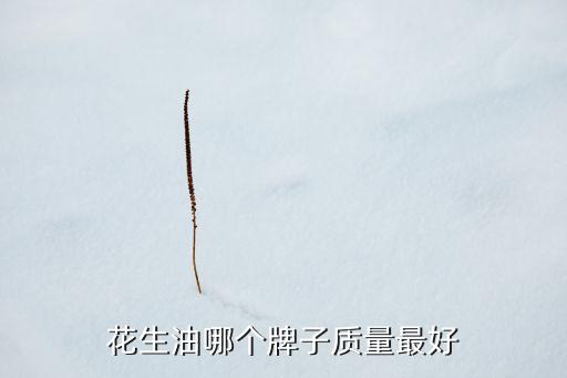 花生油哪個牌子質(zhì)量最好