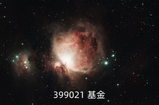 399021 基金