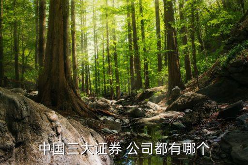 中國三大證券 公司都有哪個(gè)