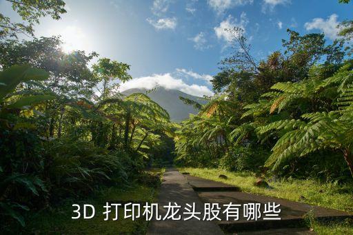 3D 打印機龍頭股有哪些