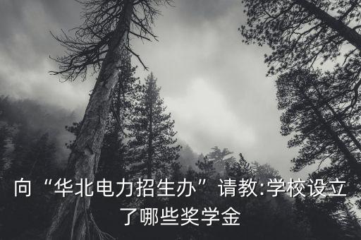 向“華北電力招生辦”請教:學(xué)校設(shè)立了哪些獎(jiǎng)學(xué)金