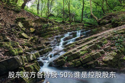 股東雙方各持股 50%誰是控股股東