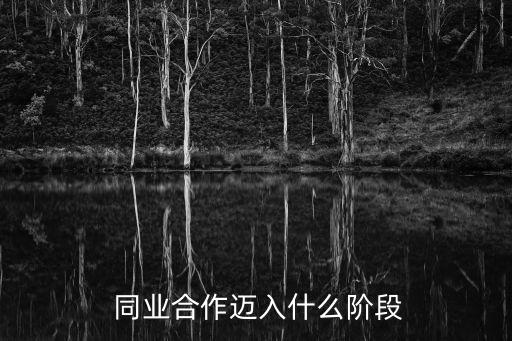  同業(yè)合作邁入什么階段