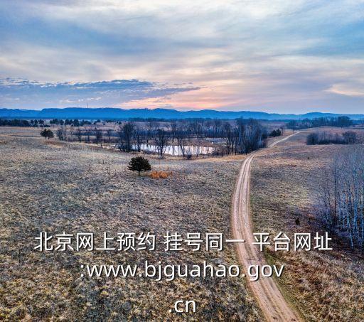  北京網(wǎng)上預(yù)約 掛號(hào)同一 平臺(tái)網(wǎng)址:www.bjguahao.gov.cn