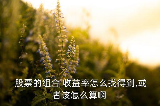  股票的組合 收益率怎么找得到,或者該怎么算啊