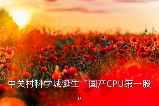 中關(guān)村科學城誕生“國產(chǎn)CPU第一股”