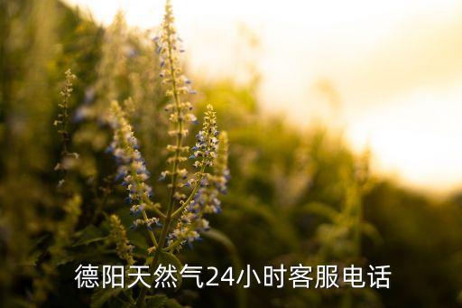  德陽天然氣24小時客服電話