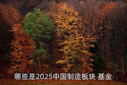 哪些是2025中國制造板塊 基金