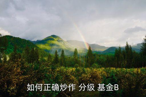 如何正確炒作 分級(jí) 基金B(yǎng)