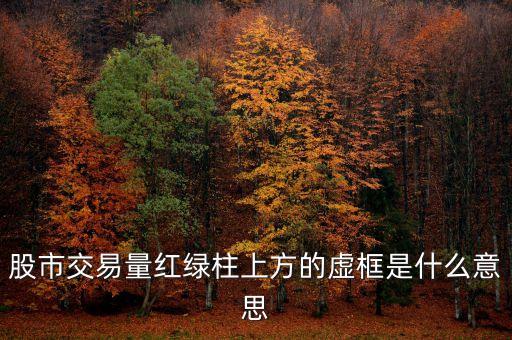 股市交易量紅綠柱上方的虛框是什么意思