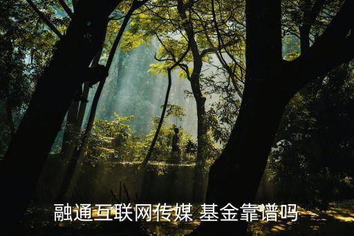 融通互聯(lián)網(wǎng)傳媒 基金靠譜嗎