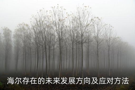  海爾存在的未來(lái)發(fā)展方向及應(yīng)對(duì)方法