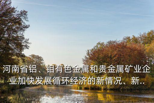 河南省鋁、鉬有色金屬和貴金屬礦業(yè)企業(yè)加快發(fā)展循環(huán)經(jīng)濟的新情況、新...