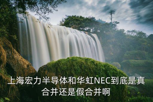 上海宏力半導體和華虹NEC到底是真合并還是假合并啊