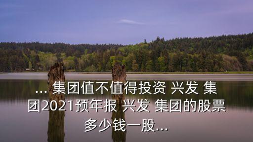 ... 集團(tuán)值不值得投資 興發(fā) 集團(tuán)2021預(yù)年報(bào) 興發(fā) 集團(tuán)的股票多少錢一股...