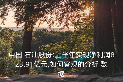 中國(guó) 石油股份:上半年實(shí)現(xiàn)凈利潤(rùn)823.91億元,如何客觀的分析 數(shù)據(jù)