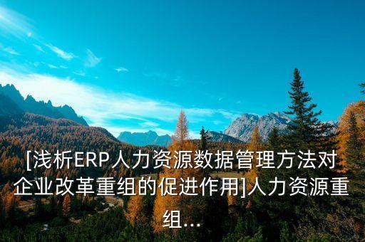 [淺析ERP人力資源數(shù)據(jù)管理方法對企業(yè)改革重組的促進作用]人力資源重組...