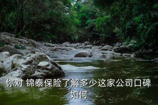 你對 錦泰保險(xiǎn)了解多少這家公司口碑如何