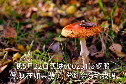 我5月22日買進(jìn)600231凌鋼股份,現(xiàn)在如果拋了, 分紅會分給我嗎