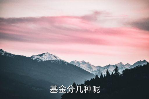 按投資市場(chǎng)分類的股票基金