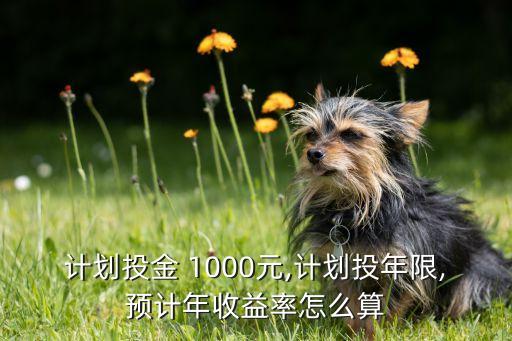 計(jì)劃投金 1000元,計(jì)劃投年限,預(yù)計(jì)年收益率怎么算