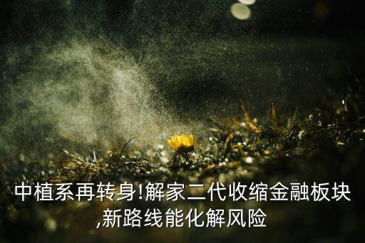 中植系再轉(zhuǎn)身!解家二代收縮金融板塊,新路線能化解風(fēng)險(xiǎn)