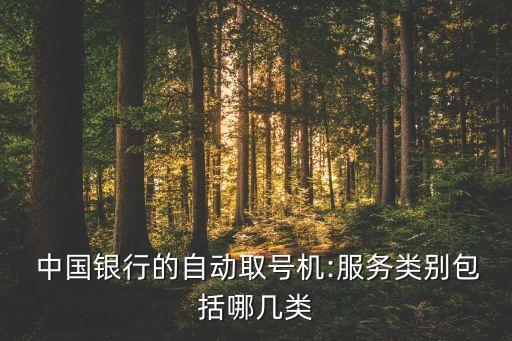  中國銀行的自動取號機:服務(wù)類別包括哪幾類