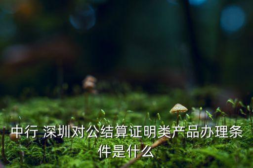 深圳招標(biāo)中國銀行賬戶,中國銀行天津分行保安招標(biāo)