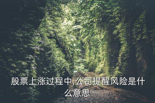  股票上漲過程中,公司提醒風(fēng)險是什么意思