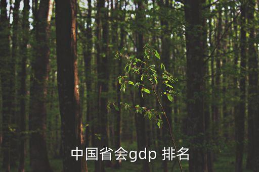 中國(guó)省會(huì)gdp 排名