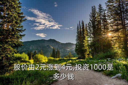 股價由2元漲到4元,投資1000是多少錢