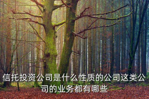 信托投資公司是什么性質(zhì)的公司這類公司的業(yè)務(wù)都有哪些