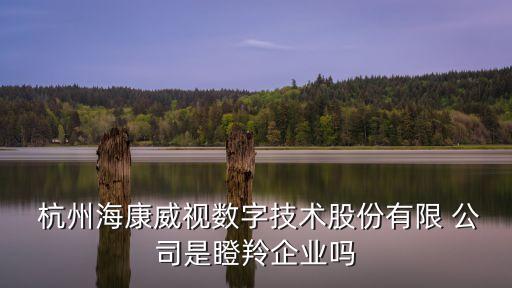  杭州?？低晹?shù)字技術(shù)股份有限 公司是瞪羚企業(yè)嗎