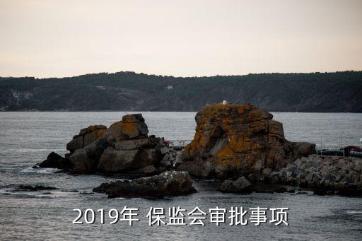 2019年 保監(jiān)會(huì)審批事項(xiàng)