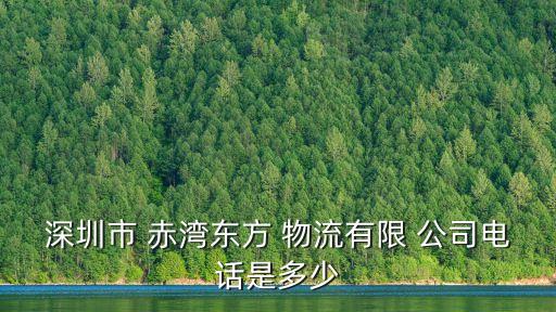 深圳市 赤灣東方 物流有限 公司電話是多少