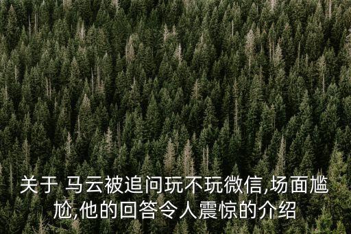 關(guān)于 馬云被追問玩不玩微信,場(chǎng)面尷尬,他的回答令人震驚的介紹