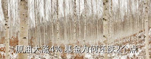  原油大漲4% 基金為何還跌2個點