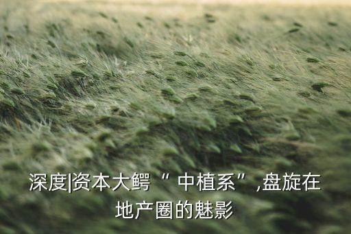 中植集團(tuán)收購宇順電子,中植系增持宇順電子