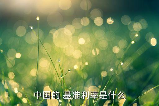 中國基準(zhǔn)貨幣有哪些,中國可以兌換哪些貨幣