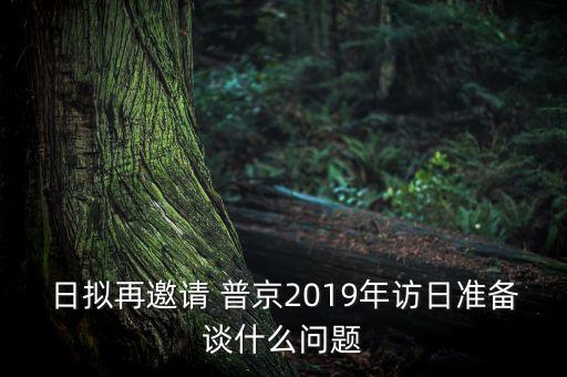 日擬再邀請 普京2019年訪日準(zhǔn)備談什么問題