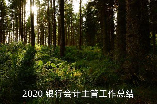 2020 銀行會(huì)計(jì)主管工作總結(jié)