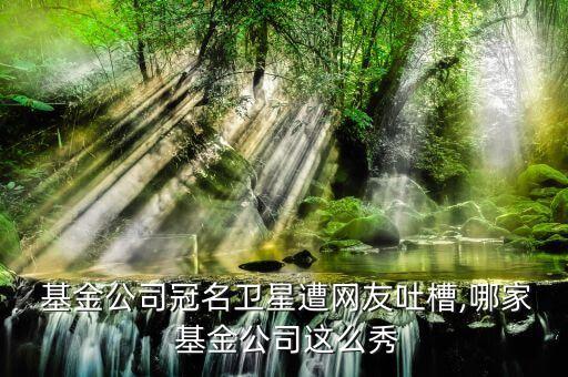  基金公司冠名衛(wèi)星遭網(wǎng)友吐槽,哪家 基金公司這么秀