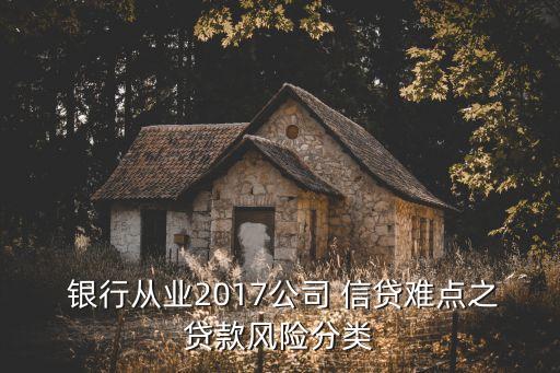  銀行從業(yè)2017公司 信貸難點之貸款風(fēng)險分類