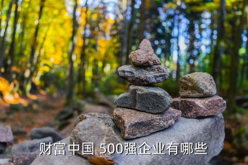 財(cái)富中國(guó) 500強(qiáng)企業(yè)有哪些