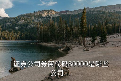  證券公司券商代碼80000是哪些公司...