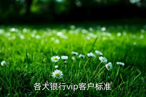 各大銀行vip客戶標(biāo)準(zhǔn)