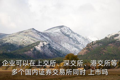 企業(yè)可以在上交所、深交所、港交所等多個(gè)國內(nèi)證券交易所同時(shí) 上市嗎