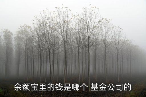 余額寶里的錢是哪個(gè) 基金公司的