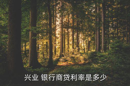  興業(yè) 銀行商貸利率是多少