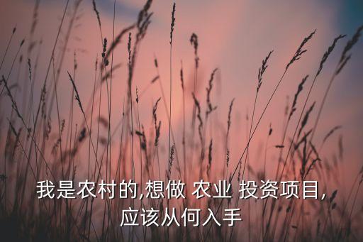 我是農(nóng)村的,想做 農(nóng)業(yè) 投資項(xiàng)目,應(yīng)該從何入手